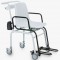 Seca 959 Class III Digital Chair Scales Seca 959 Class III Digital Chair Scales